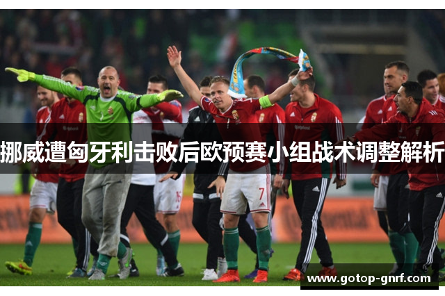 挪威遭匈牙利击败后欧预赛小组战术调整解析