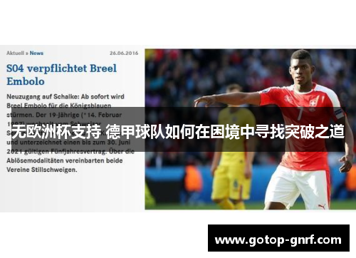 无欧洲杯支持 德甲球队如何在困境中寻找突破之道