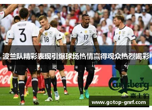 波兰队精彩表现引爆球场热情赢得观众热烈喝彩